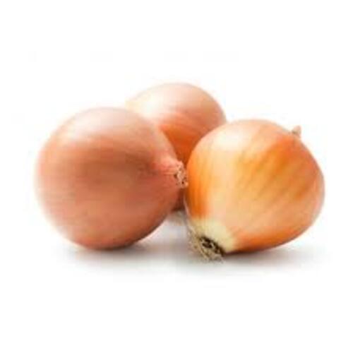 Pure Hygienic Natural Taste Healthy Organic Fresh Brown Onion