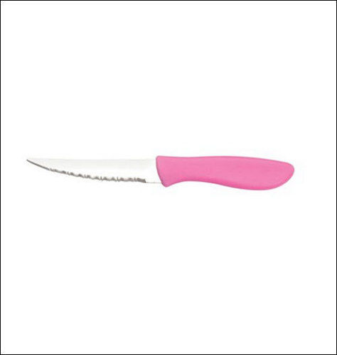 Stainless Steel And Plastic 8 Inch Knife For Kitchen Use