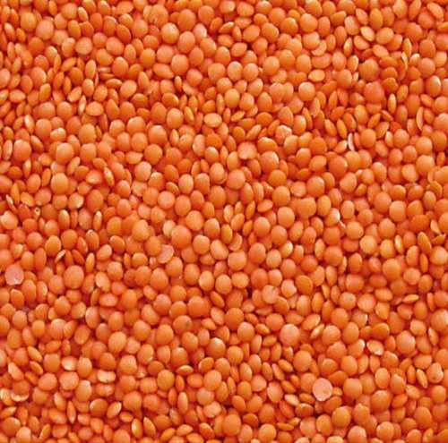 A Grade 100% Pure, Natural Fresh And Organic Orange Masoor Dal