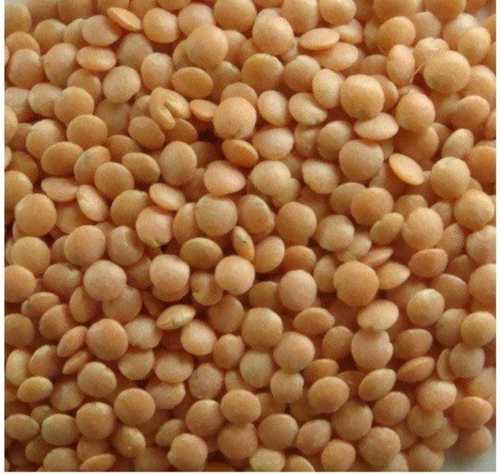 A Grade Nutritious And Healthy 100% Pure and Organic Moong Dal