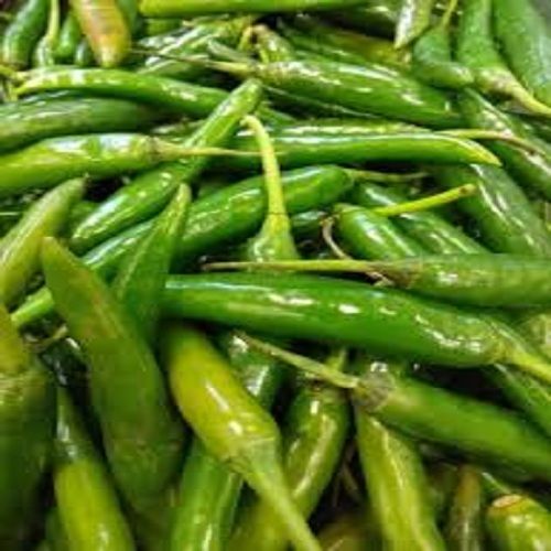 Elognated Shape Fresh And Spicy Green Chilies without Cholesterol 