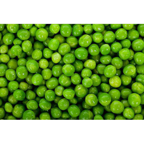 Green Color Organic Fresh Green Peas With No Preservatives And Pesticide Free