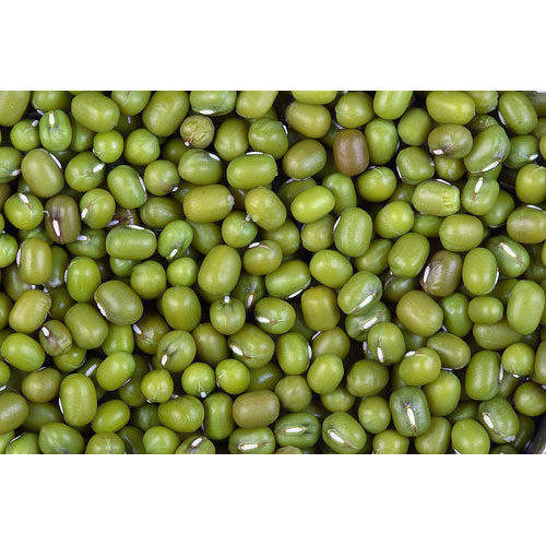 Green Whole Moong Dal for Human Consumption With High in Protein and No Artificial Flavour