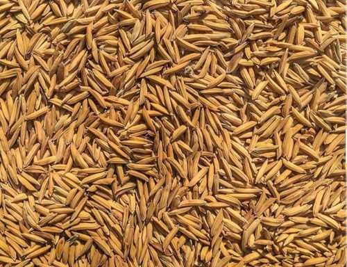 Long Grains Brown Natural And Organic Paddy Rice 