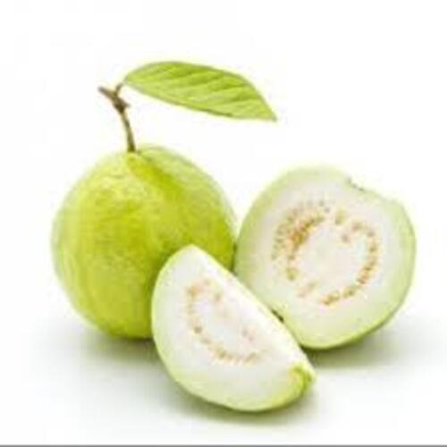 Maturity 99 Percent Sweet Delicious Rich Natural Taste Healthy Organic Fresh Guava
