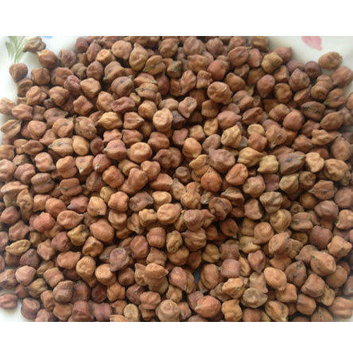 Organic Dried Chana for Human Consumption With 12 Month Shelf Life And No Added Color