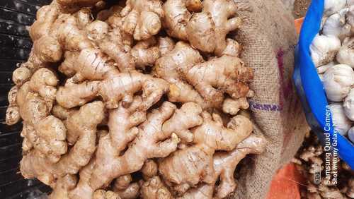 Organic Fresh Ginger With Irregular Shape Used In Cooking