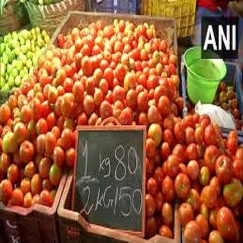  लाल रंग गोल आकार का ताजा और ऑर्गेनिक टमाटर पोषक तत्वों से भरपूर नमी (%): 60% 