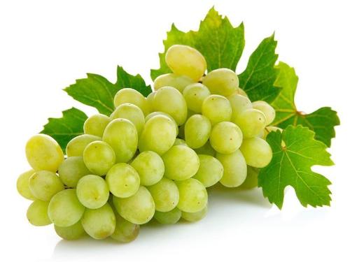 Rich Sweet Delicious Taste Healthy Fresh Green Grapes