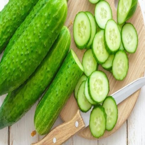 High Fibre Healthy Natural Rich Taste Green Fresh Cucumber