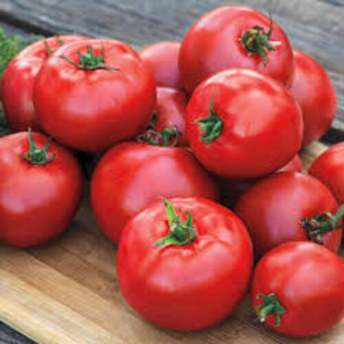 Natural Rich Taste Mild Flavor Red Fresh Organic Hybrid Tomato