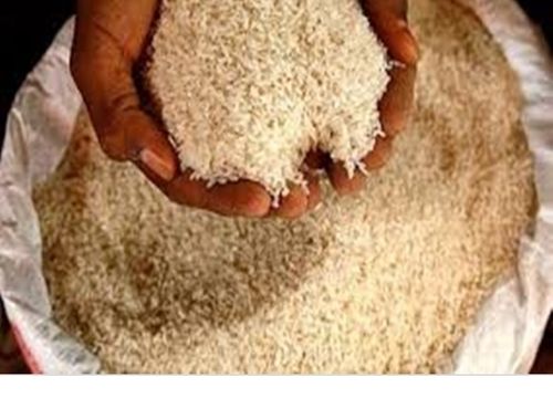 Organic White Fortified Long Grain Paddy Rice Human Consumption
