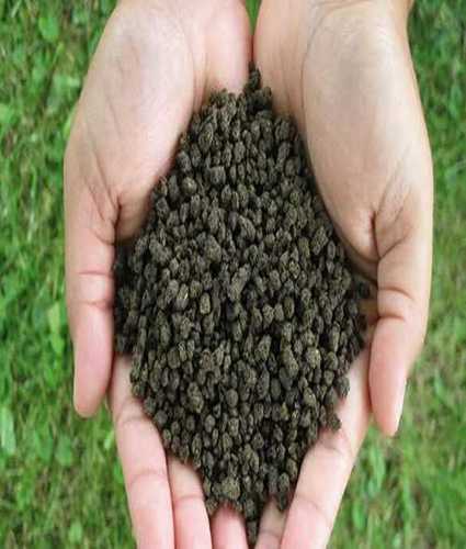 Black Easy And Quickly 98% Water Solubility Bio Fertilizer Granules For Agriculture 