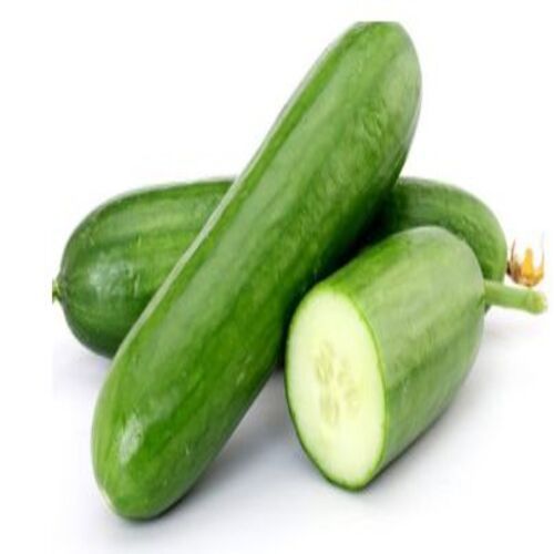 Energy 15.54 Calories Healthy Natural Rich Taste Green Organic Fresh Cucumber