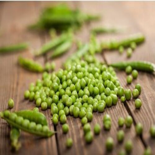 Hygienic No Artificial Flavour Rich Natural Taste Organic Fresh Green Peas