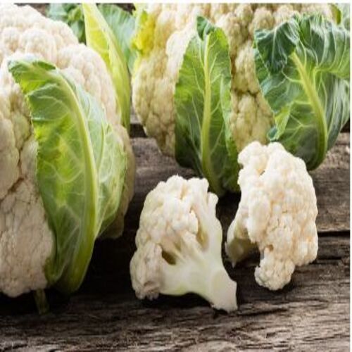 Maturity 80 Percent Rich Natural Delicious Taste Healthy White Fresh Cauliflower