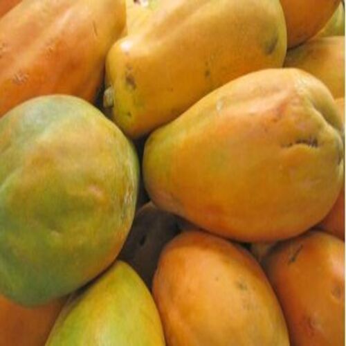 Total Carbohydrate 11g Rich in Vitamin Healthy Rich Delicious Natural Taste Organic Fresh Papaya