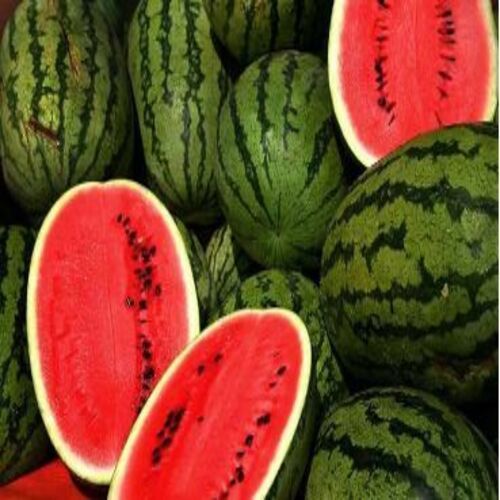 Total Carbohydrate 8G Juicy Rich Natural Delicious Taste Green Organic Fresh Watermelon