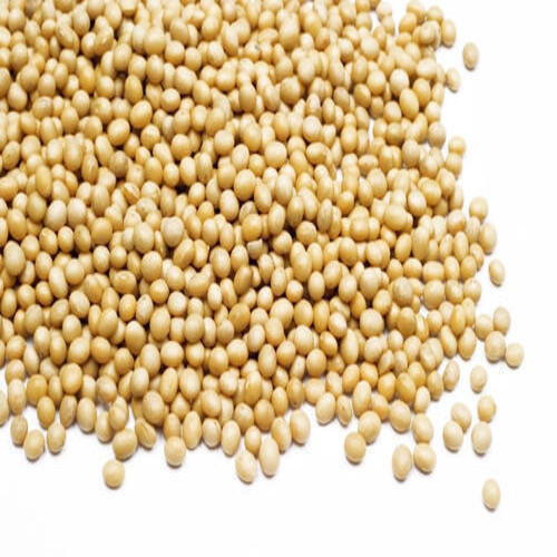 High Protein Fine Natural Taste Healthy Soybean Seeds