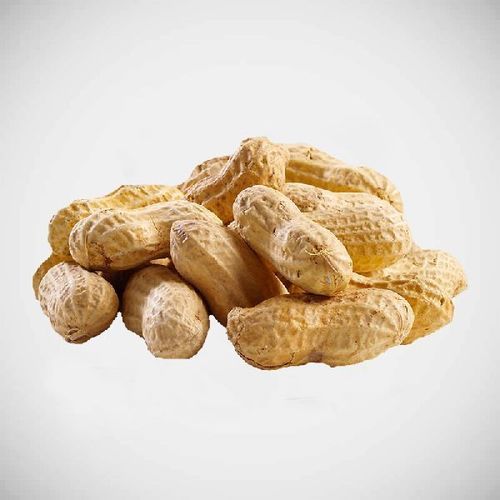 Moisture 4 Percent Rich Natural Taste Healthy Dried Brown Organic Shelled Peanuts