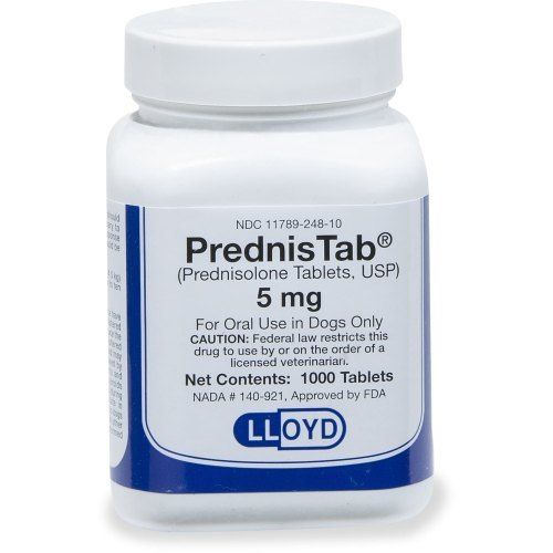 Prednisone Tablets Ingredients: Prednisolone