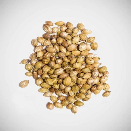 Purity 99.9 Percent Dried Natural Rich Taste Healthy Organic Coriander Seeds