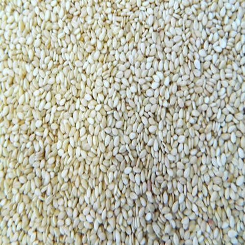 Rich Natural Taste Healthy Dried Organic White Hulled Sesame Seeds