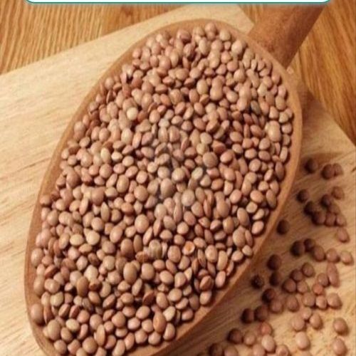 100 Percent Natural and Organic, Healthy And Nutritious Kali Masoor Dal 