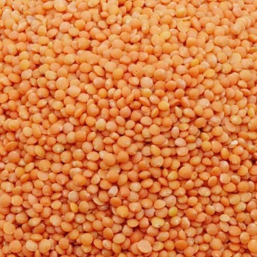 100 Percent Natural and Organic Orange Masoor Dal Healthy And Nutritious