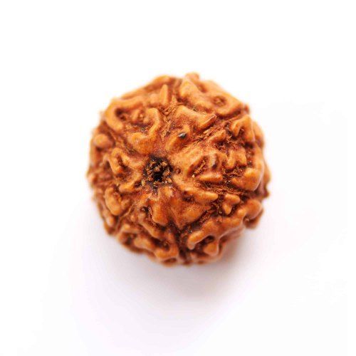 Wood 7 Mukhi Round Shape Brown Color Rudraksha Beads