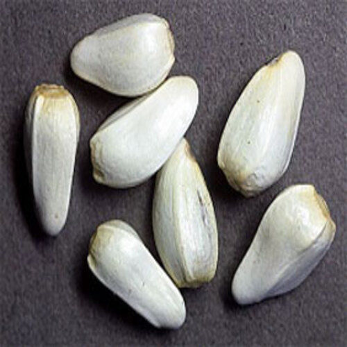 Healthy Natural Rich Taste Dried White Safflower Seeds