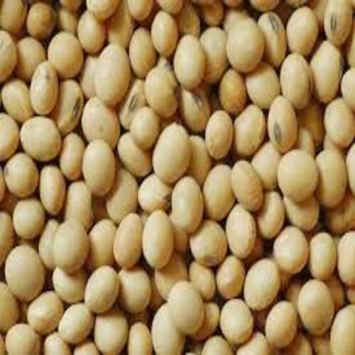 High Protein Fine Natural Taste Healthy Dried Soybean Seeds