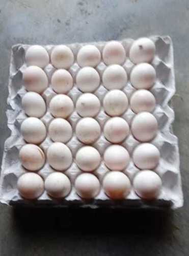 Natural White High Protein 100 Grams Farm Fresh Duck Egg