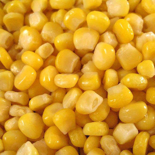 Natural and Pure Fresh Sweet Corn