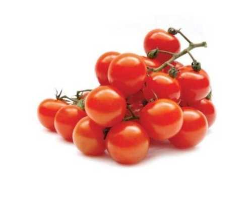 Natural And Red Color Fresh Tomatoes Rich In Nutrients
