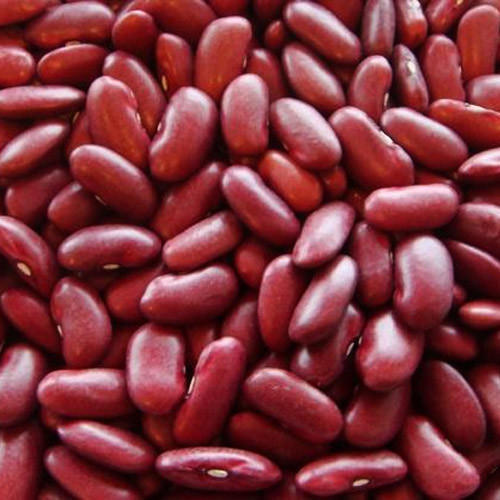 Natural Healthy Rich Taste High Protein Dried Organic Red Kidney Beans