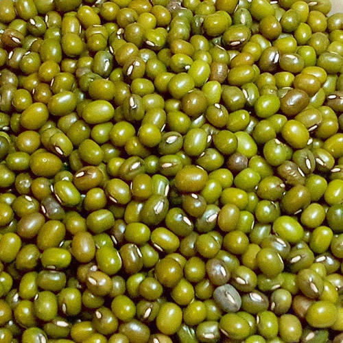 Natural Taste Rich Protein Dried Organic Green Moong Dal