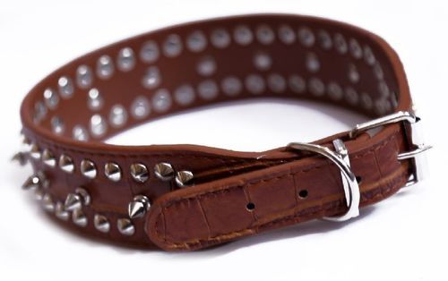5 To 10 Inch Length Leather Spiked Dog Collar With Silver Color Stainless Steel Metal Buckles