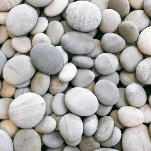 River Pebbles Stones Suppliers Buy Online from India