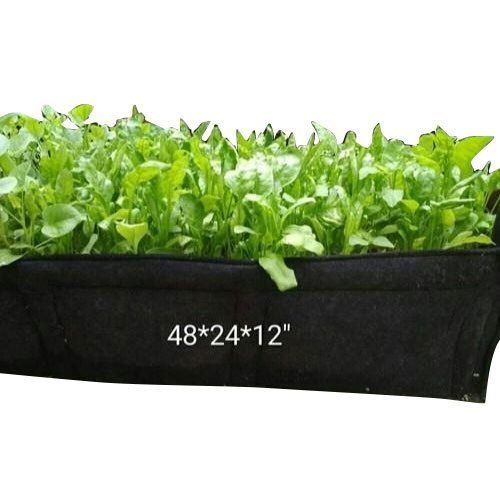 Easily Handling And Light Weight Non Woven Black Wafa Grow Bag For Gardening