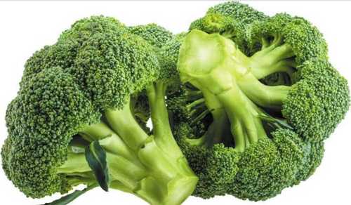 Natural High Protein Healthy To Eat Fresh Green Brocoli Vegetable For Cooking