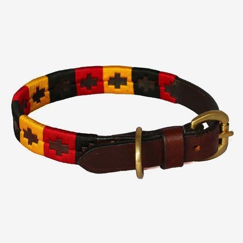 Light Weight And Designer Polo Dog Collar With Golden Color Stainless Steel Metal Buckle