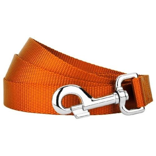 Plain Design And Anti Crack Nylon Dog Leash With Silver Color Stainless Steel Metal Buckles