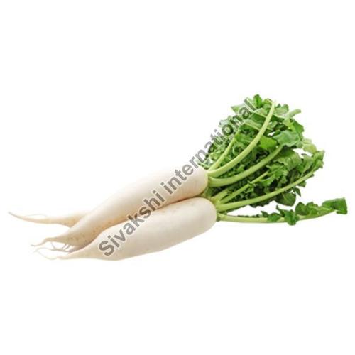 High Fibre Healthy Natural Rich Taste Fresh White Radish