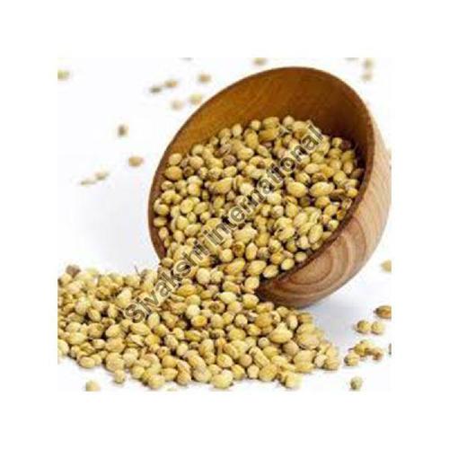 No Artificial Color Added Long Shelf Life Rich Taste Dried Green Coriander Seeds