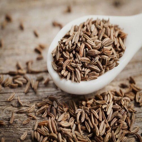 Rich In Taste Cumin Seed For Cooking, Spices, Food And Medicine