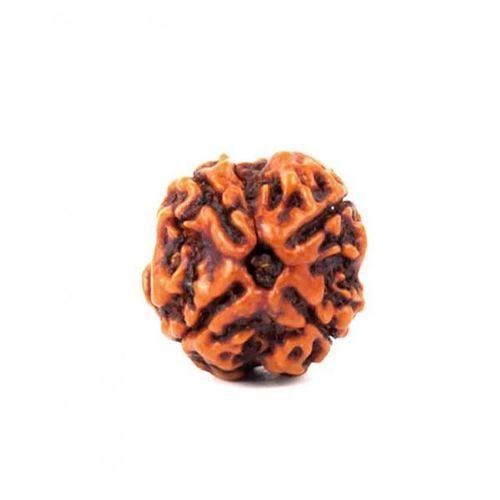 Wood 4 Mukhi Brown Color Original Nepali Rudraksha Beads