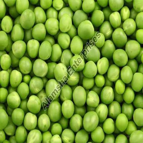 Rich Delicious Healthy Hygienic Natural Taste Fresh Green Peas