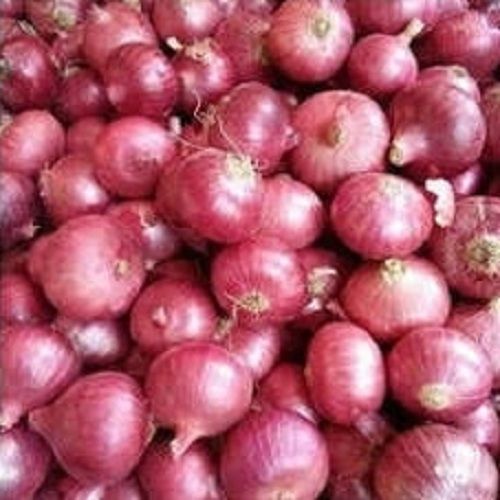 Round Shape Fresh And Naturally Red Color Grown Loose Onion Moisture (%): 13-30