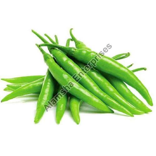 Spicy Natural Taste Rich In Color Fresh Green Chilli